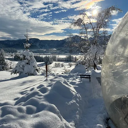 Bubble Tent Im Allgaeu *