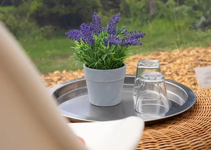 Bubble Tent Im Allgaeu Füssen