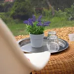 Bubble Tent Im Allgaeu Fussen