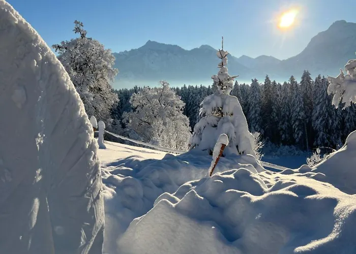 Bubble Tent Im Allgaeu * Fussen